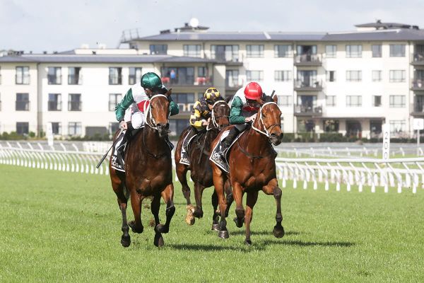Promising filly heads home Marsh quinella
