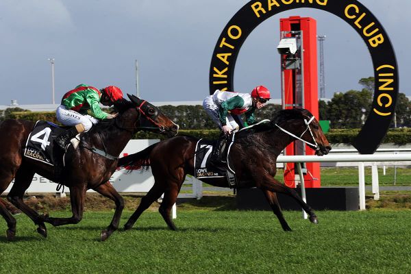 Marsh brings up Century at Te Rapa