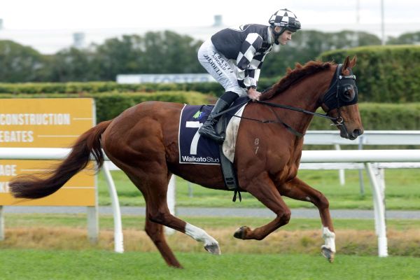 Tarzino unlikely for Sharrock trio