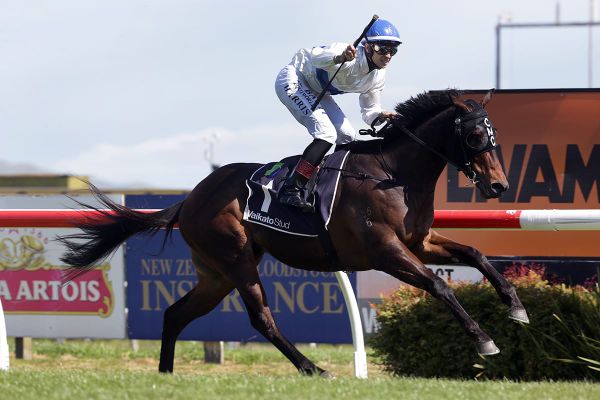 Raceday resumption delayed for Catalyst