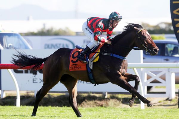 Memsie option for Dragon Leap