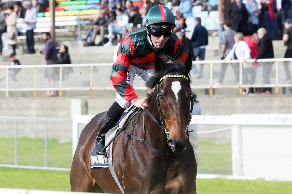 Dragon Leap pleases in Ruakaka return