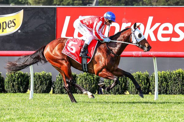 Satono Aladdin colt remains unbeaten