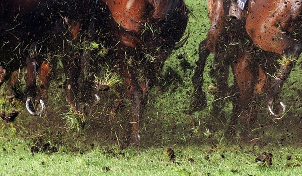 New Plymouth meeting abandoned