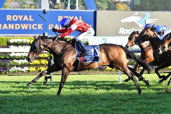 Group One return for Icebath