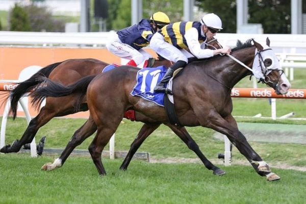 Memsie first-up for I’m Thunderstruck