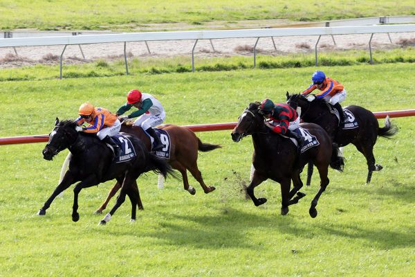 Imperatriz fires in Ruakaka feature