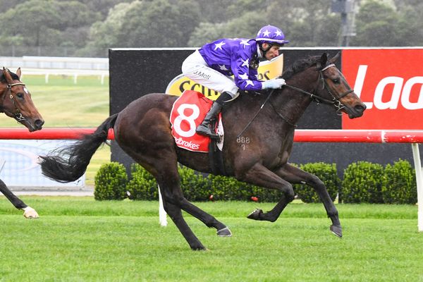 Emperor impressive at Sandown