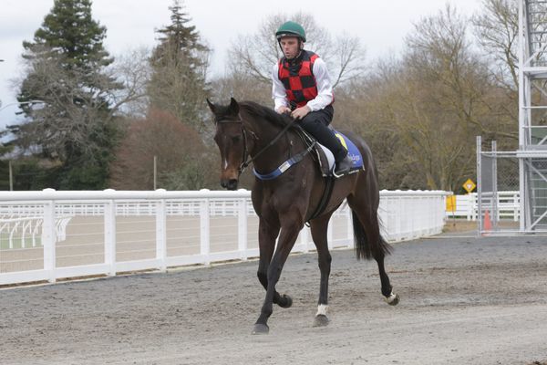 Impressive La Crique on track for Tarzino