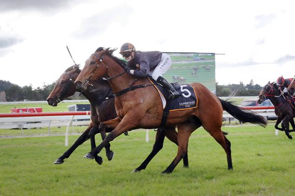 Lickety Split starts spring campaign in style