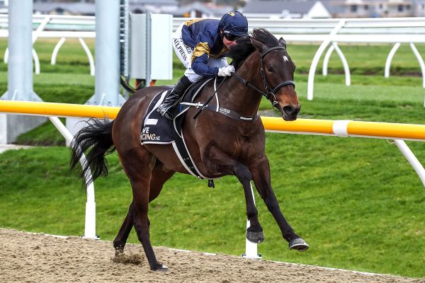 Australia beckons runaway debut winner