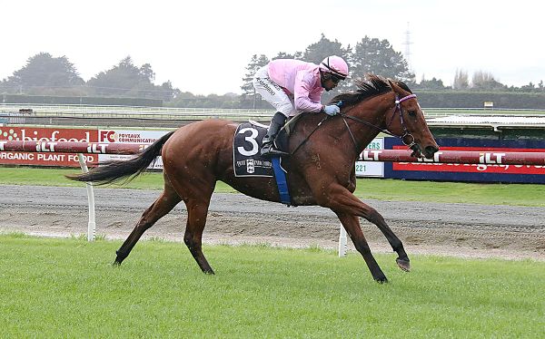 Tyler hoping his sprinter can regain his crown at Oamaru