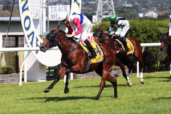 Mr Maestro ready for Valley assignment