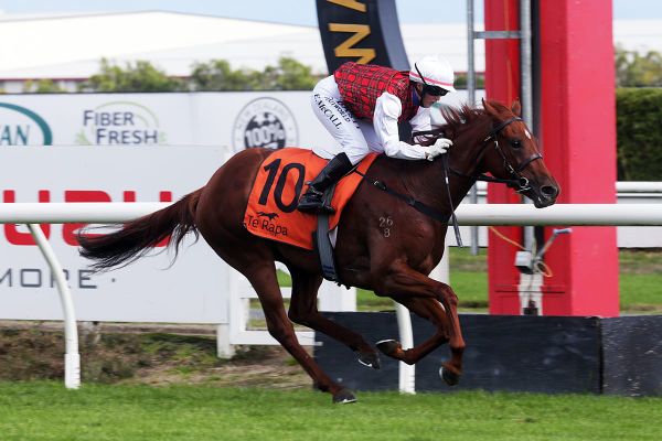 Foote hoping to hit homerun with The Bambino