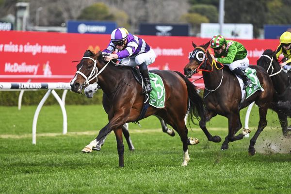 Niffler a Randwick winner