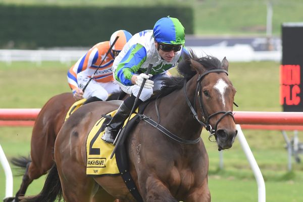 Six-timer for Walker