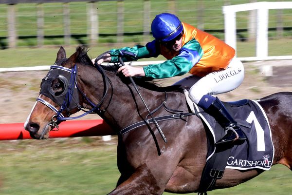 Ridgeview Chief back to his best at Tauranga