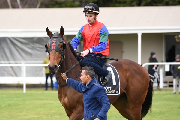 Australian options aplenty for Team Rogerson’s 3YO