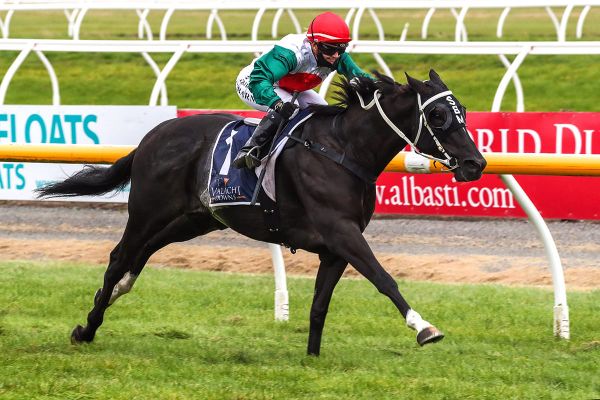 Hong Kong contact a winning source for Marsh