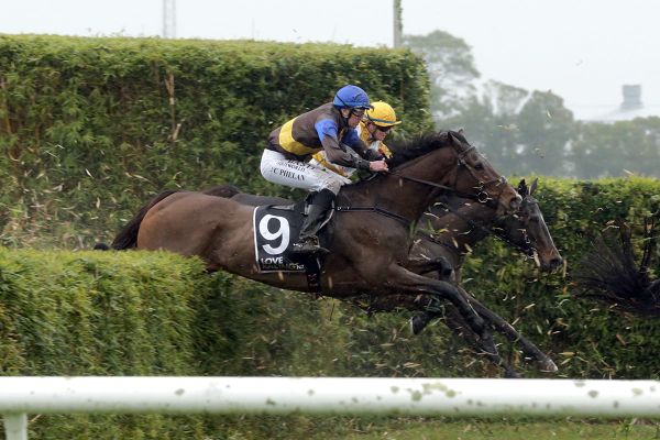 Nelson can’t fault National hope The Cossack