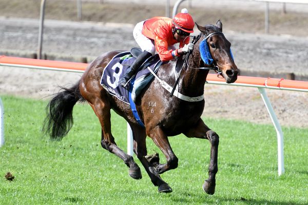 Timberlake on song for Awapuni