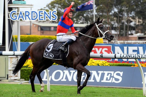 Arc tilt finalised for Verry Elleegant