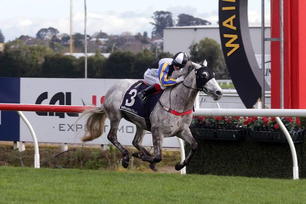 White Noise commences spring campaign in style