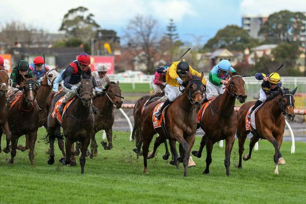 Callsign Mav records popular fourth Group One win