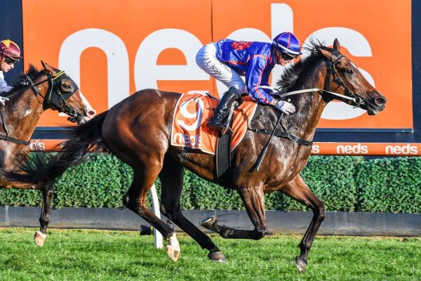 Stage set for Ayrton's arrival