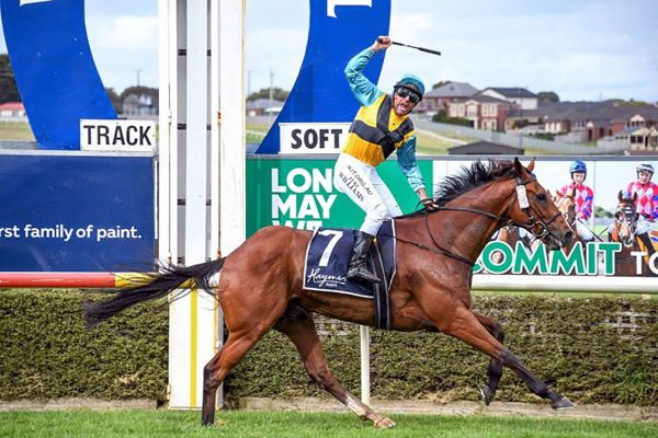 NZB Airfreight Road to Jericho Marks Return to Trans-Tasman Rivalry