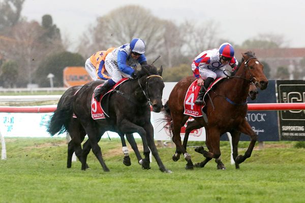 Dark Destroyer all business in Group One victory