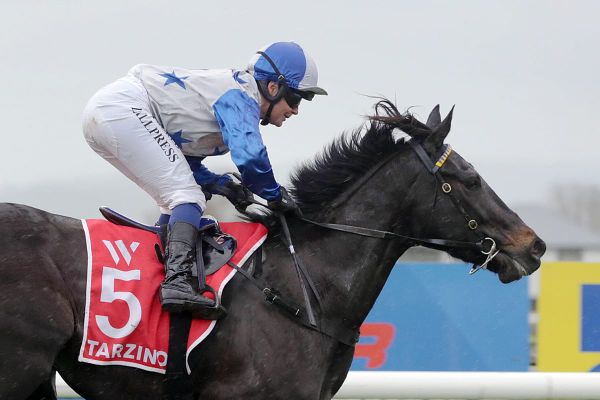 Dark Destroyer ruled out of Arrowfield Stud Plate