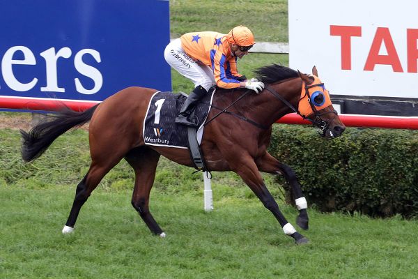 Dynastic dynamic in Hastings feature