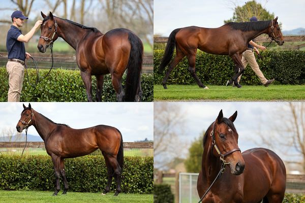 Yulong wins fierce battle for Entriviere