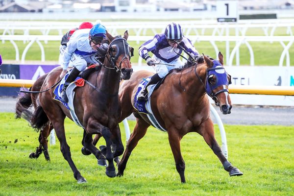 Four Queens heads home Rae quinella at Riccarton