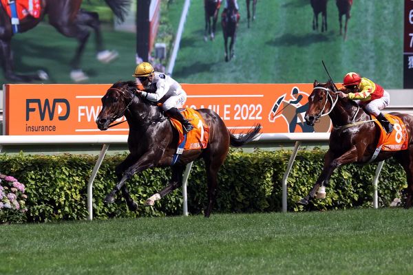 NZB Ready To Run Sale catalogue launched