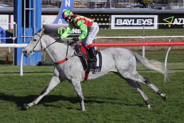 In-form grey looking good for Tarzino