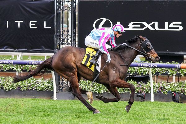 High Emocean back in winning form