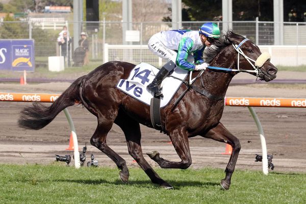 I Wish I Win stranded on ballot