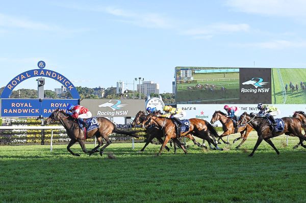 Epsom next for Icebath