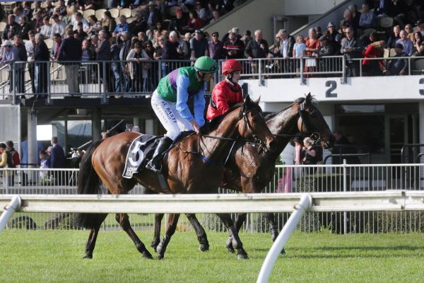 Never say die Kiddo wins Great Northern