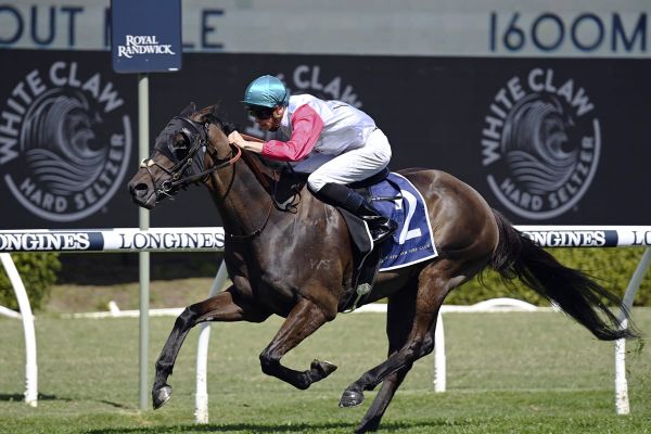 New silks, same result for Kiss The Bride