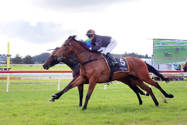 Group One filly to make Australian debut