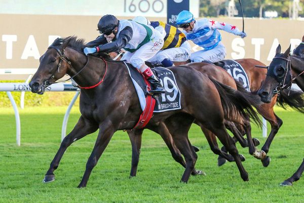 Mr Brightside looking to continue golden run