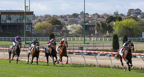 Mr Brightside a class above in Feehan