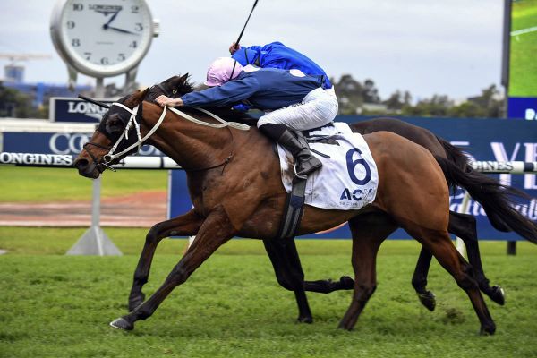 Kiwi-breds set to strike for Waller