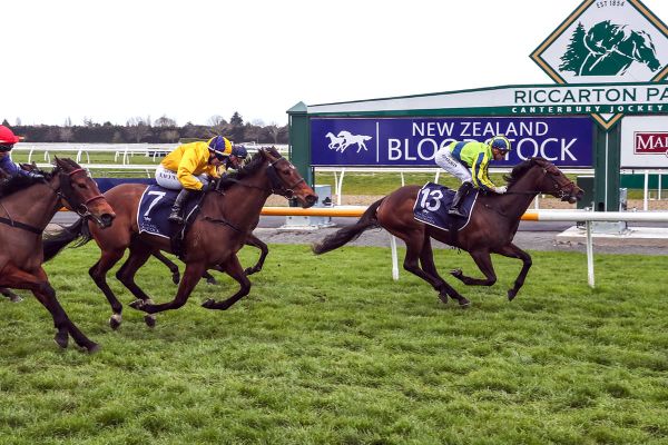 One Kiss stakes her claim for higher honours