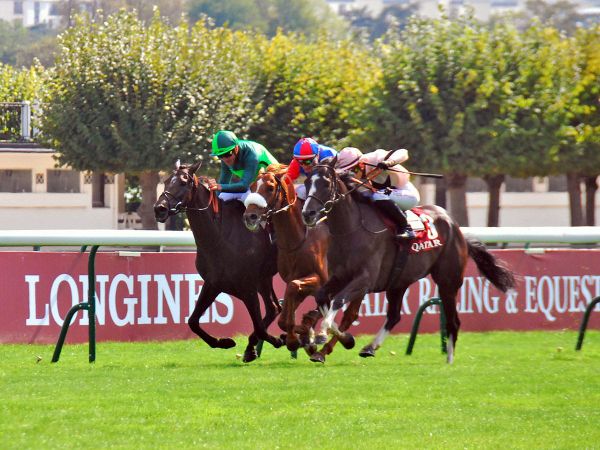 Graffard holds hope for Elleegant