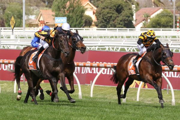 Probabeel claims second Horse of the Year title