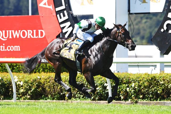 Pike banking on Slipper Island for Guineas